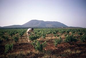 LE KHAR OU LA MONTAGNE DES LIONS (6)